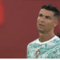 «Os portugueses são ridículos e têm o que merecem em todos os grandes torneios. São humilhados e vão para casa cedo e é o que merecem por serem tão cegos em relação a Cristiano Ronaldo»